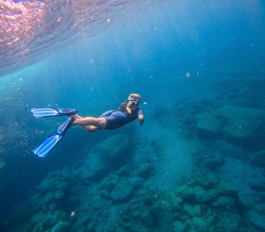 Fai Snorkel nella Zona dei Delfini in Barca