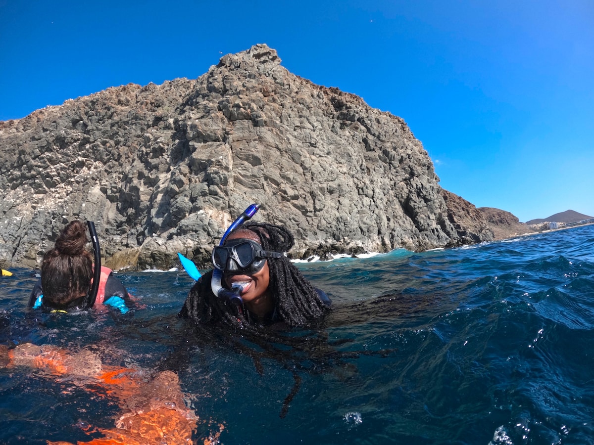 Fai Snorkel nella Zona dei Delfini in Barca