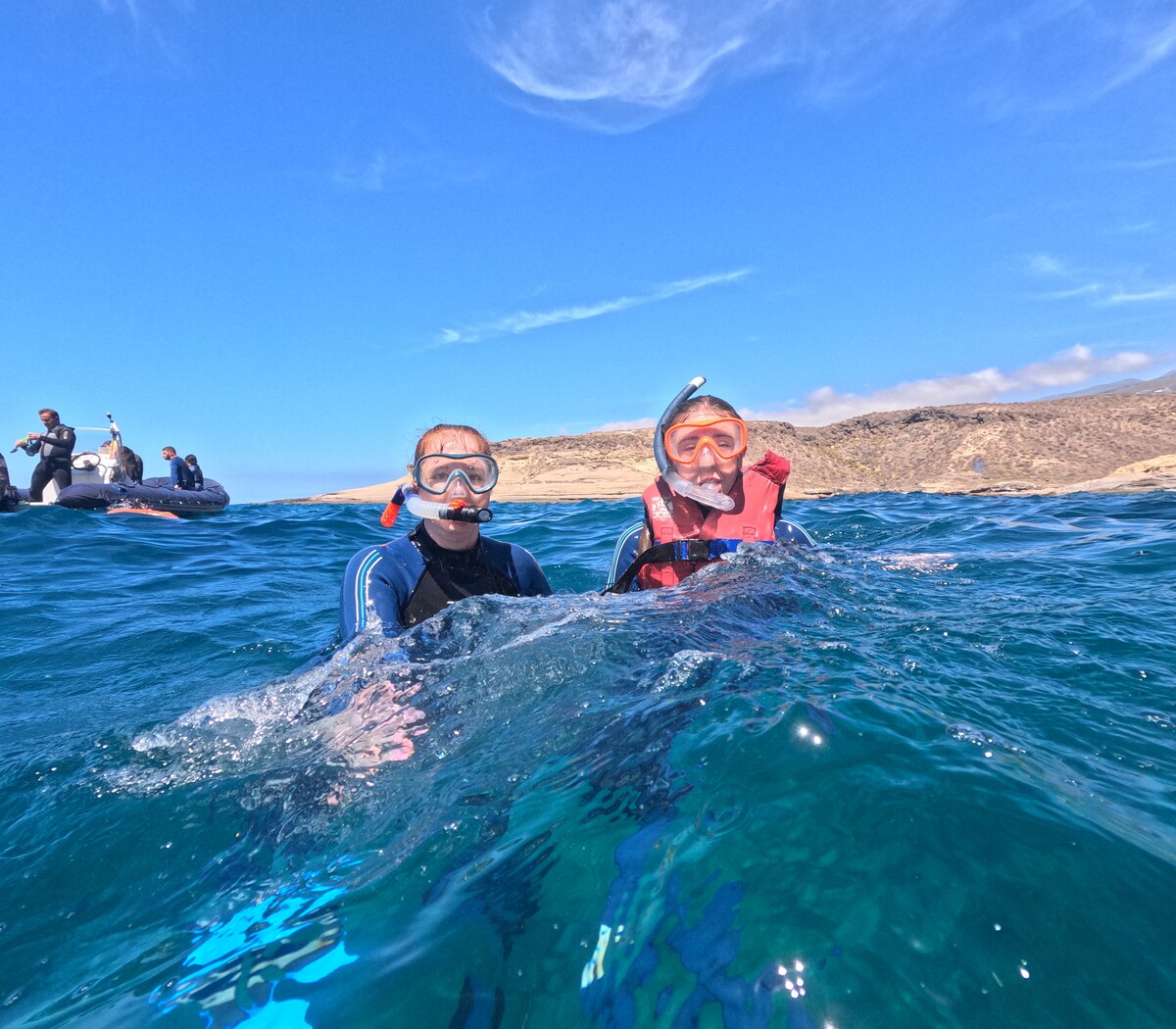 Fai Snorkel nella Zona dei Delfini in Barca