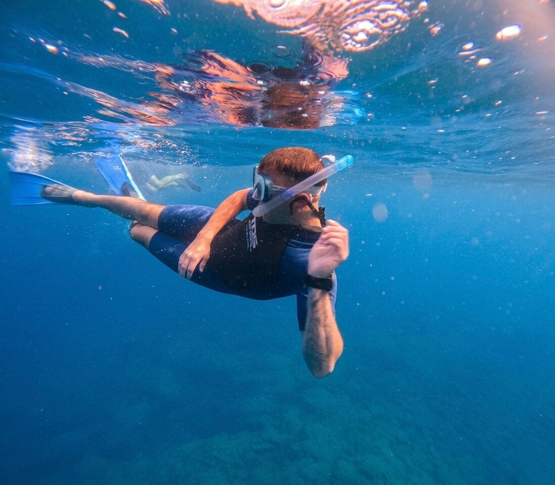Fai Snorkel nella Zona dei Delfini in Barca
