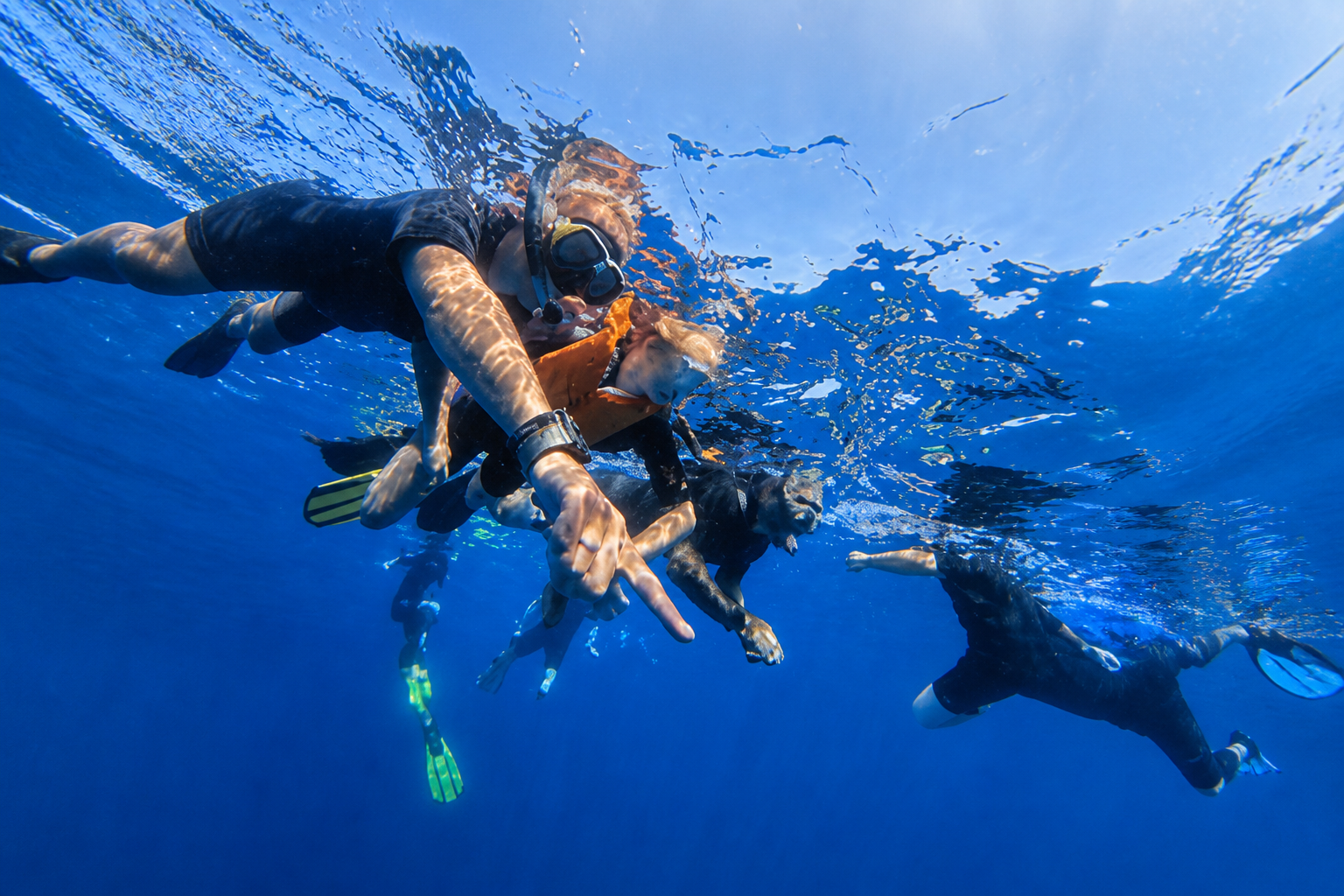 Fai Snorkel nella Zona dei Delfini in Barca