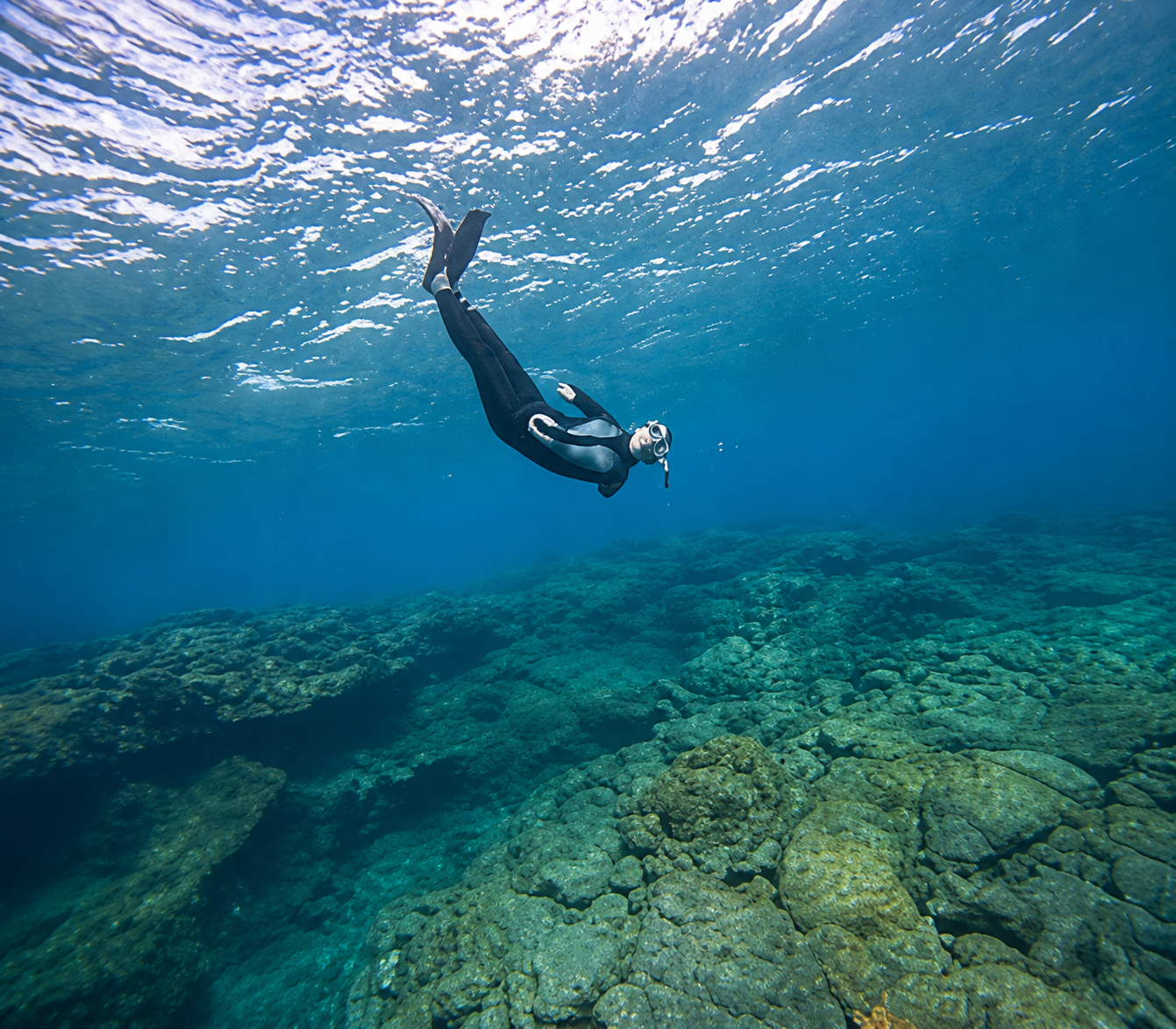 Fai Snorkel nella Zona dei Delfini in Barca