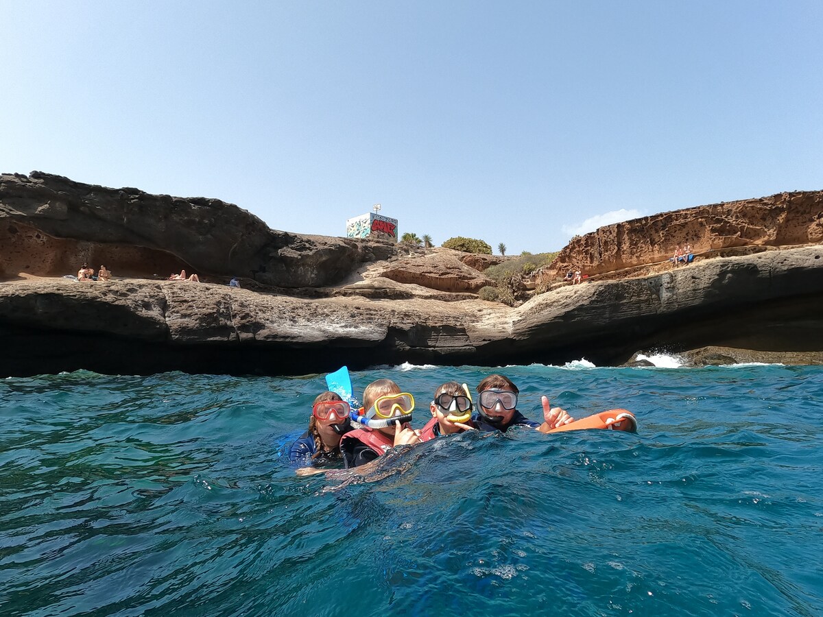 Fai Snorkel nella Zona dei Delfini in Barca