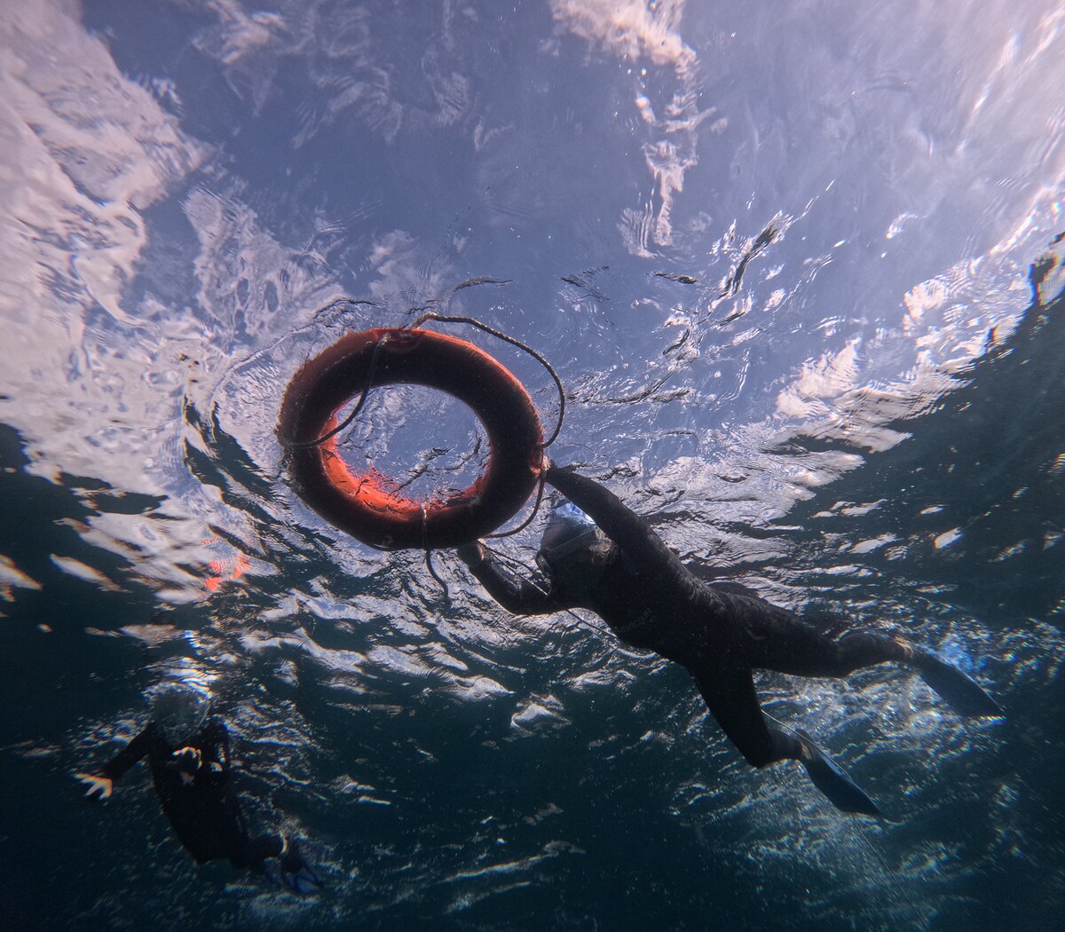 Fai Snorkel nella Zona dei Delfini in Barca
