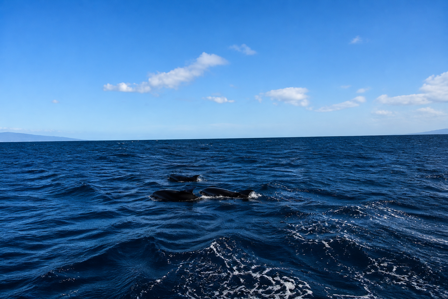 Rilassati a Lanzarote su una barca di lusso