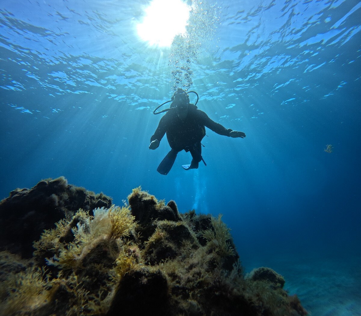 Immergiti nel Paradiso Subacqueo di Costa Adeje