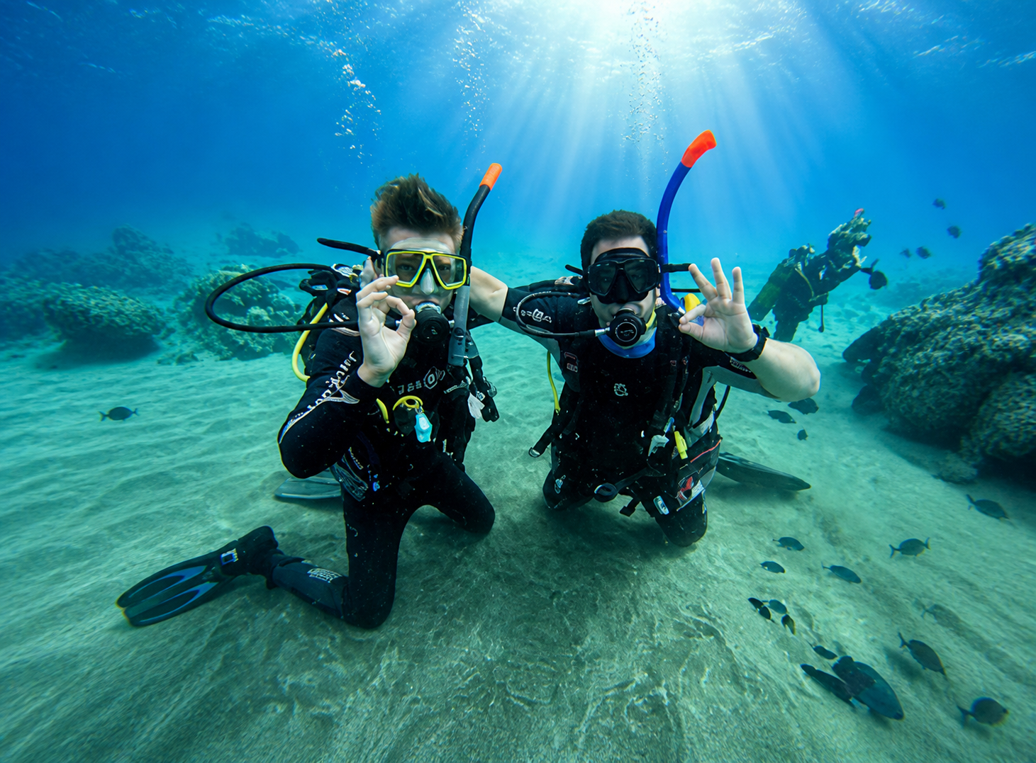 Immergiti nel Paradiso Subacqueo di Costa Adeje
