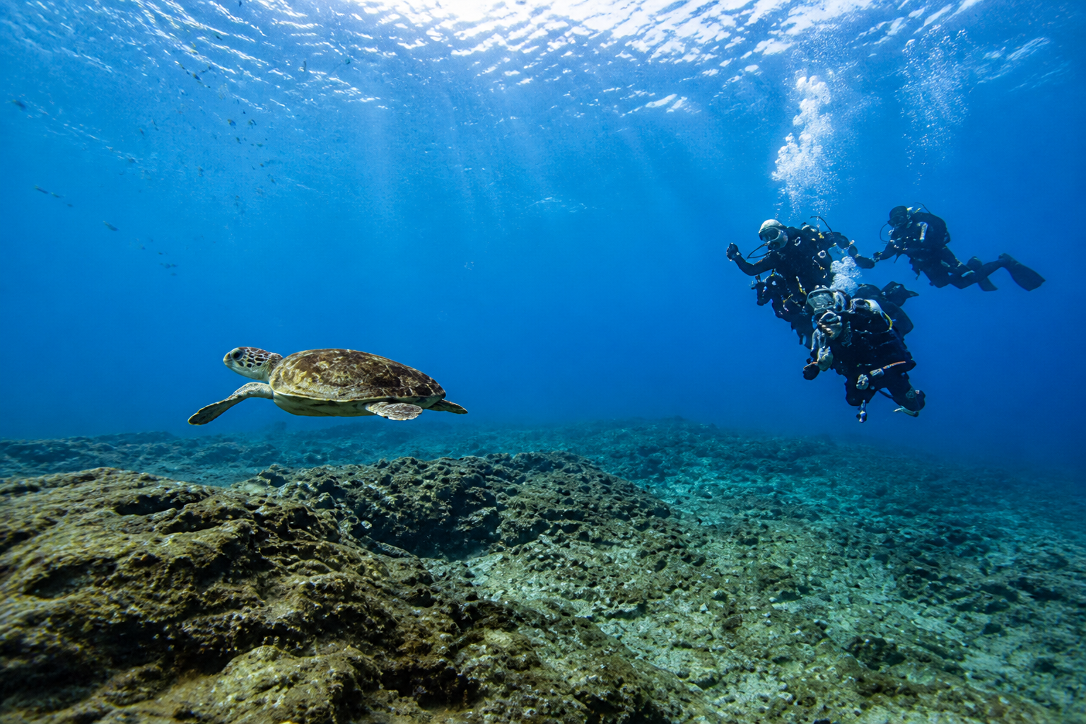 Immergiti nel Paradiso Subacqueo di Costa Adeje