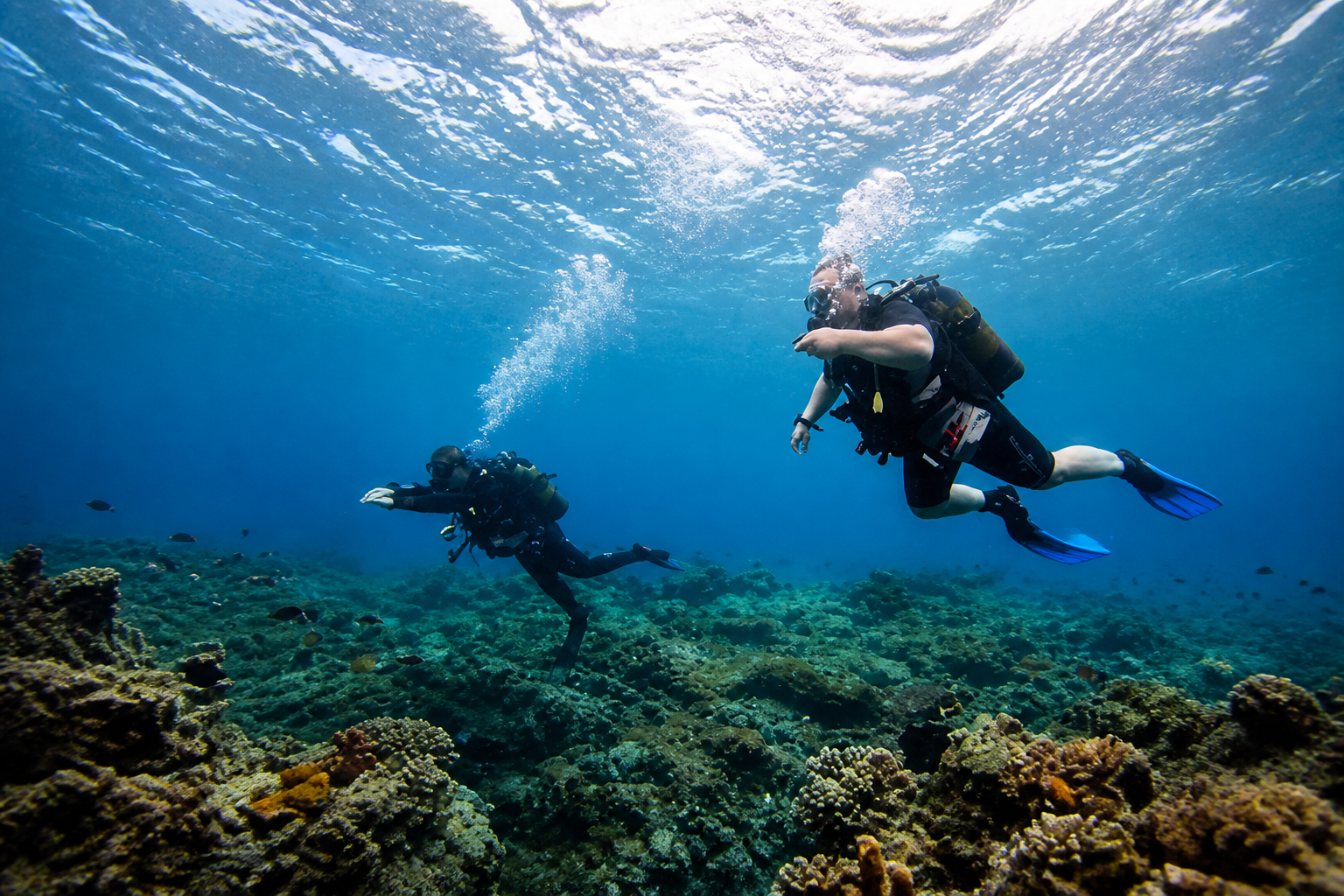 Immergiti nel Paradiso Subacqueo di Costa Adeje