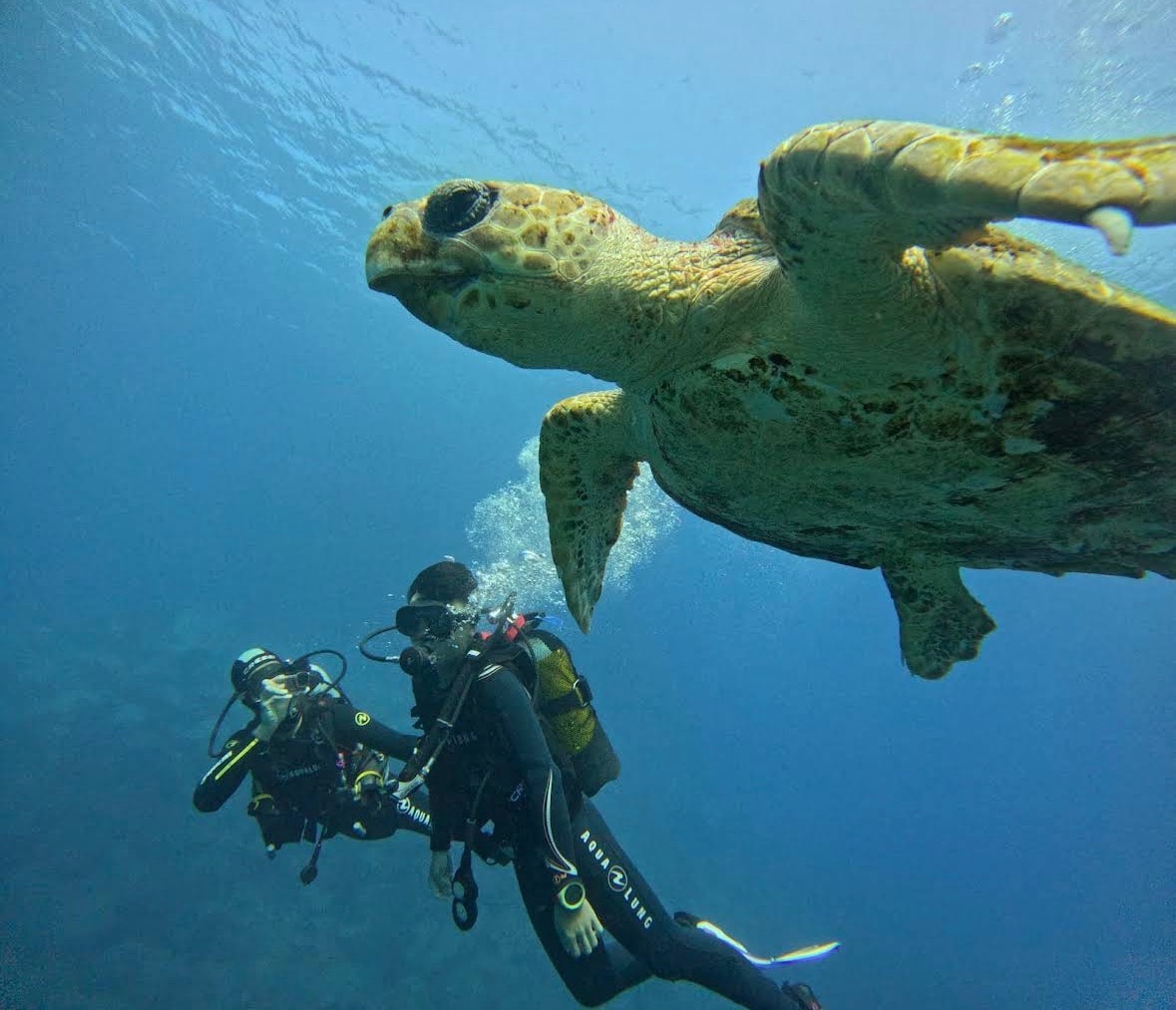 Immergiti nel Paradiso Subacqueo di Costa Adeje
