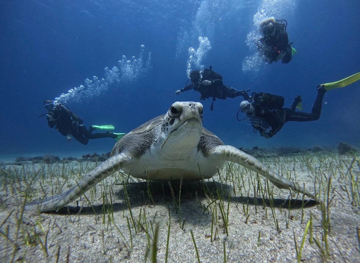 Immergiti nel Paradiso Subacqueo di Costa Adeje