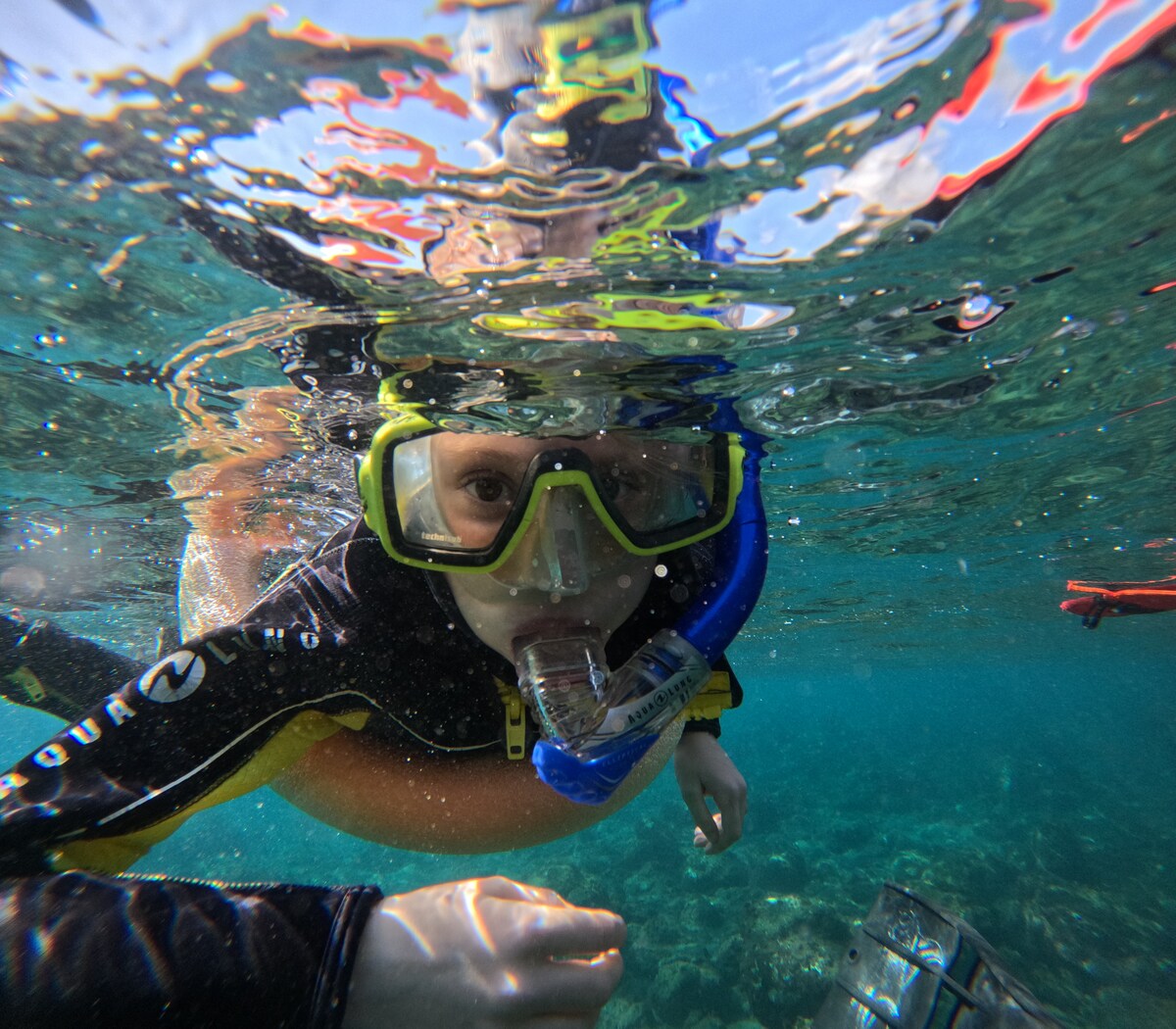 Fai snorkel nelle acque cristalline di Costa Adeje