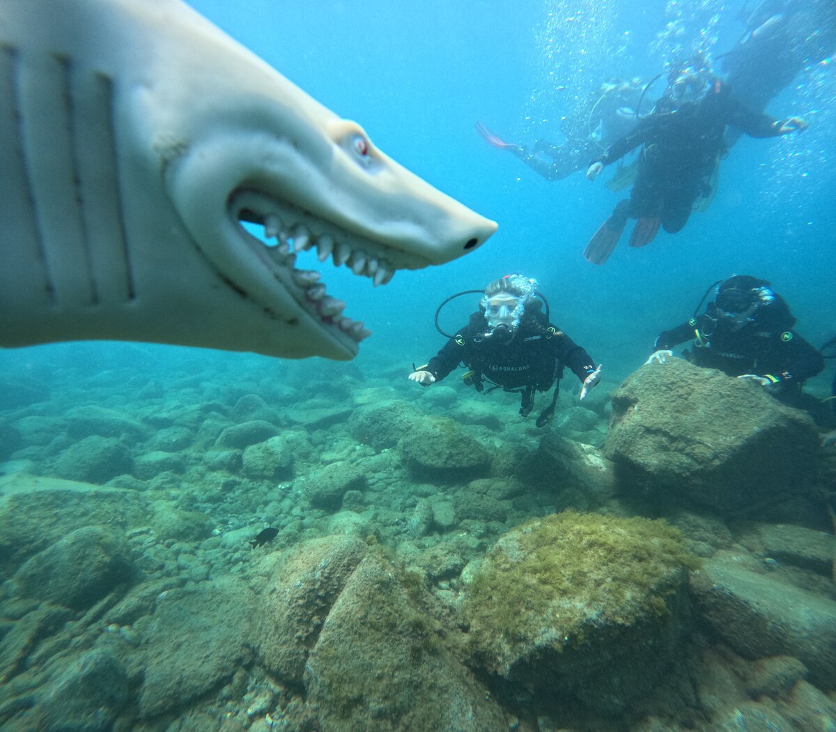 Fai snorkel nelle acque cristalline di Costa Adeje