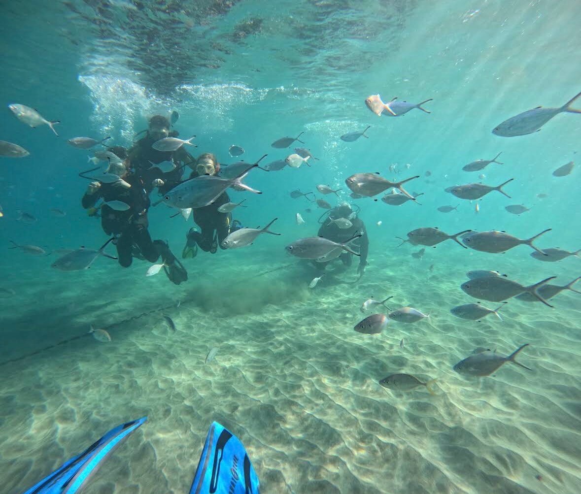 Fai snorkel nelle acque cristalline di Costa Adeje