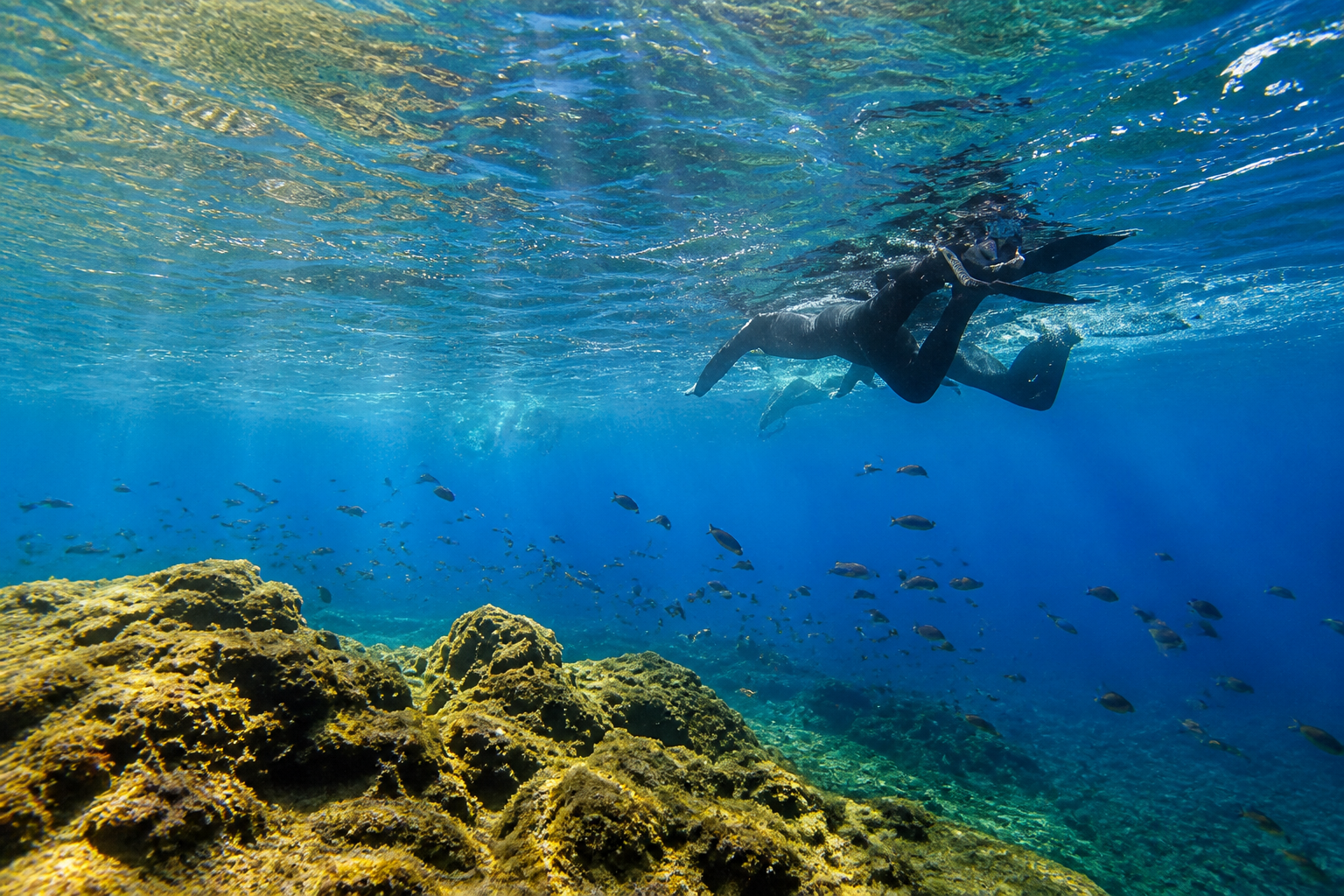 Tour snorkeling guidato in acque cristalline