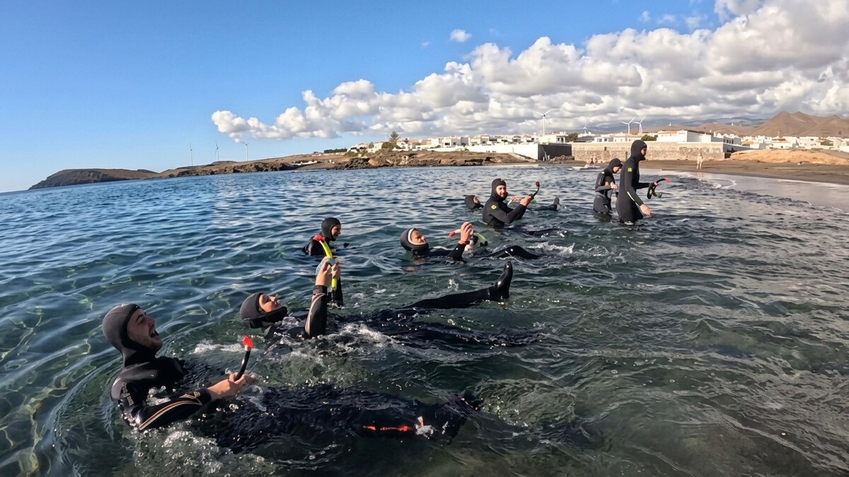 Tour snorkeling guidato in acque cristalline
